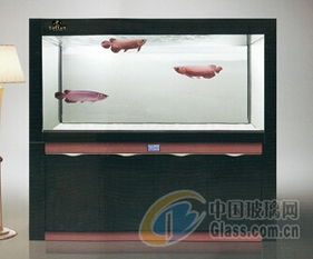 成都托田經(jīng)典水族用品廠 魚(yú)缸輔助用品及配件產(chǎn)品報(bào)價(jià)與供應(yīng)商優(yōu)勢(shì)解析